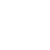 Debug Overlay's icon